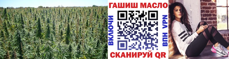 Дистиллят ТГК гашишное масло  Коряжма 